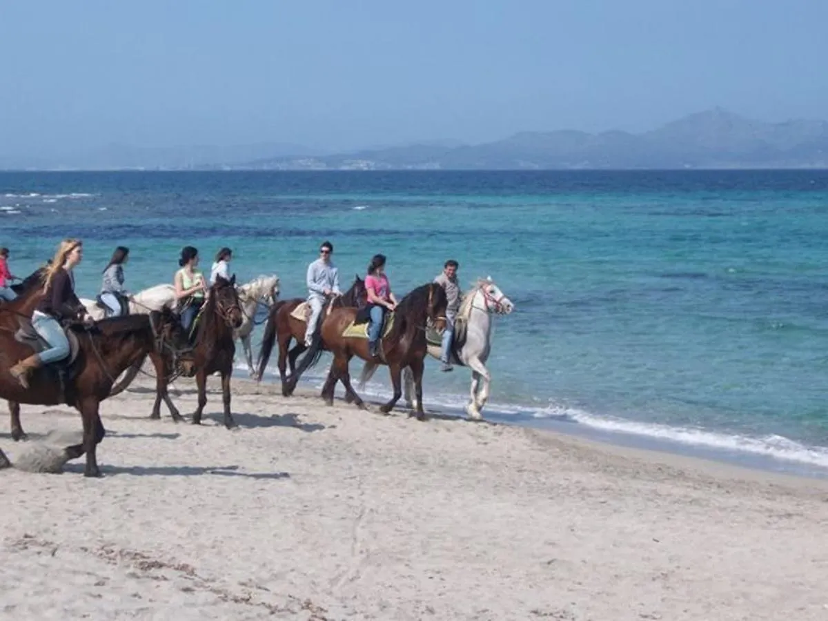 Can Serena Can Picafort  Σπίτι διακοπών Can Picafort (Mallorca)
